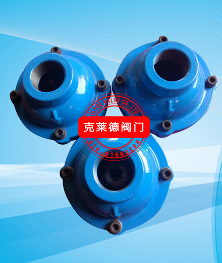 A2969   DN25