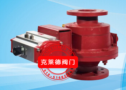DN100   CP18630E-00