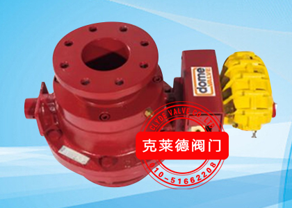 DN100   CP22060D-01