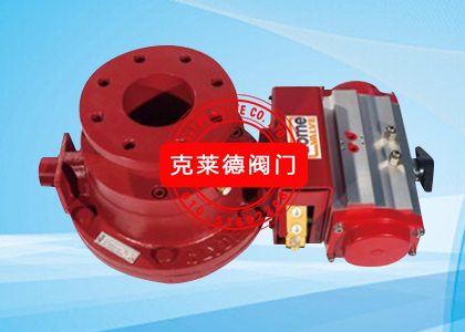 ͷDN100  CP29755B-00